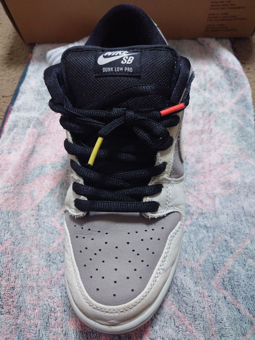 Nike Sb Sneakers Dunk Low Pro "Vx1000 Camcorder"