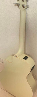 Yamaha Acoustic Guitars