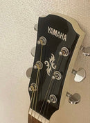 Yamaha Acoustic Guitars