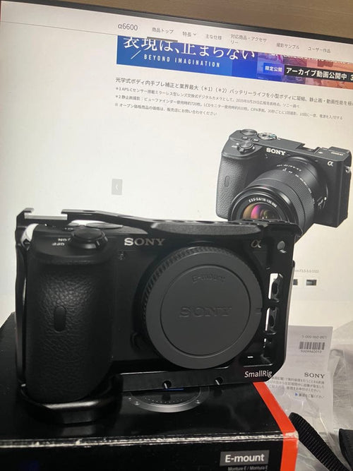 Sony Mirrorless Interchangeable Lips 6600 Smallrig