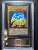 Yu -Gi -Oh! Ocg Duel Monsters Ars10 Trc