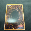 Yu -Gi -Oh! Ocg Duel Monsters 1