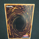 Yu -Gi -Oh! Ocg Duel Monsters 1