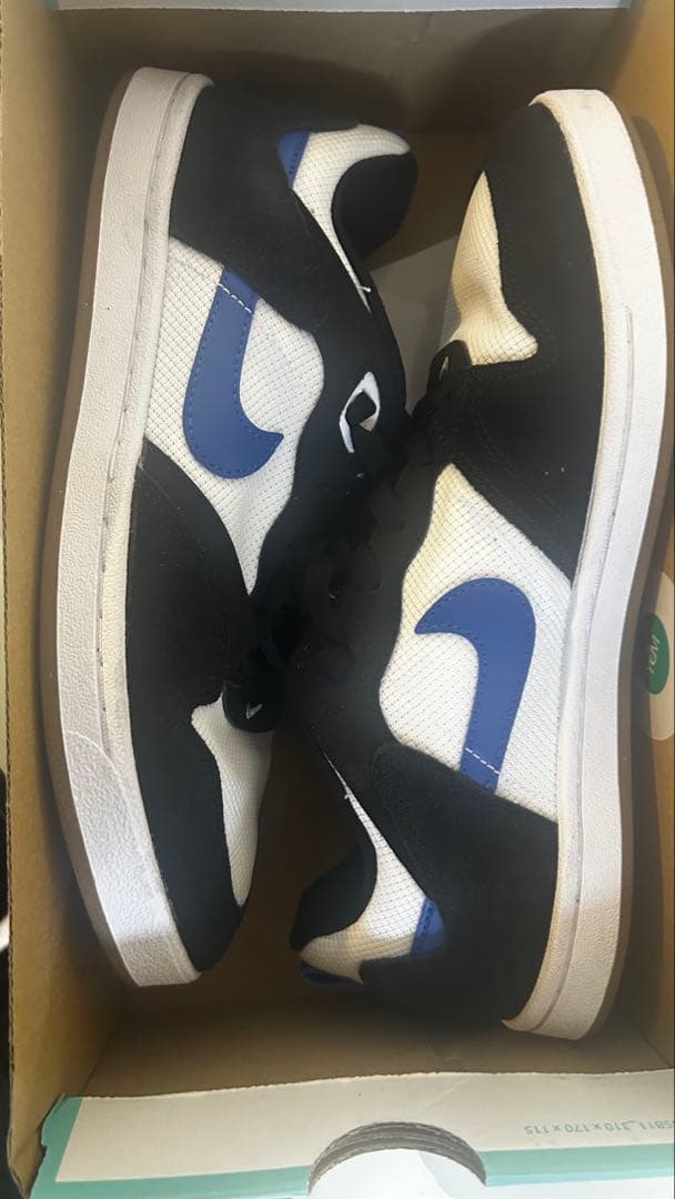 Nike Sb Sneakers Alleyoop