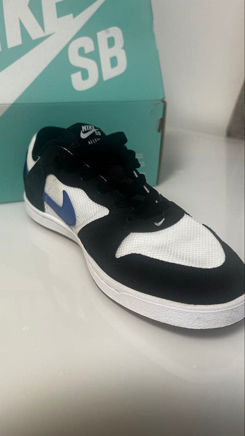 Nike Sb Sneakers Alleyoop