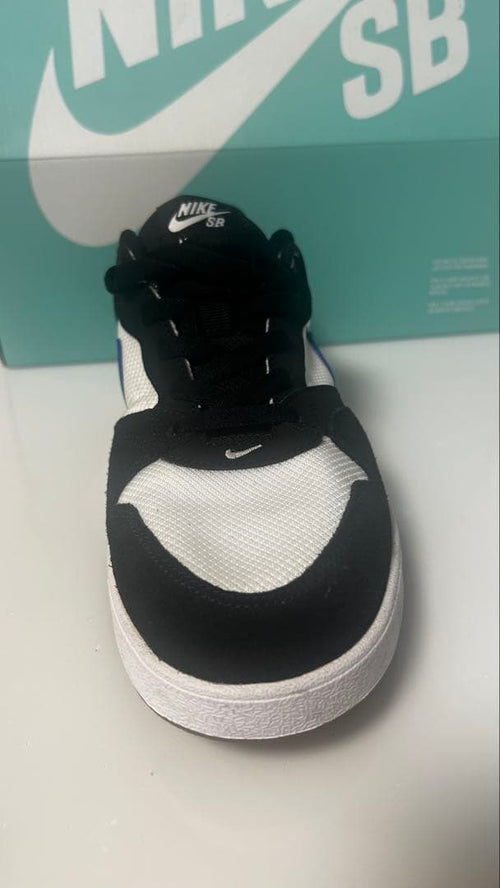 Nike Sb Sneakers Alleyoop