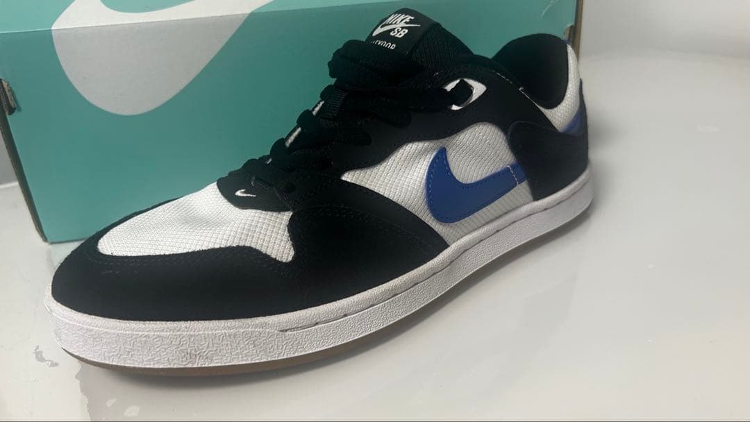 Nike Sb Sneakers Alleyoop