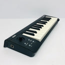Midi Keyboards Pads Microkey-25 25 M2391