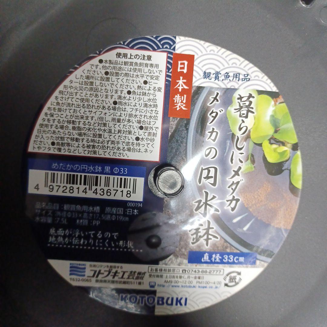 Kotobuki Other