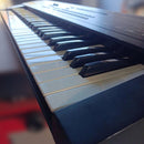Others Roland D-10 61