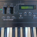Others Roland D-10 61