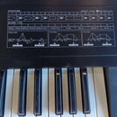 Others Roland D-10 61