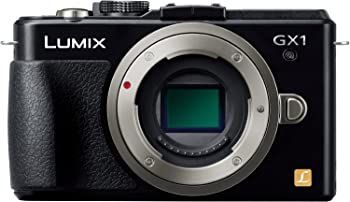 Digital Slr Gx1 1600 Dmc-Gx1-K