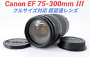 Canon Zoom Lenses 8 17 Ef 75-300Mm