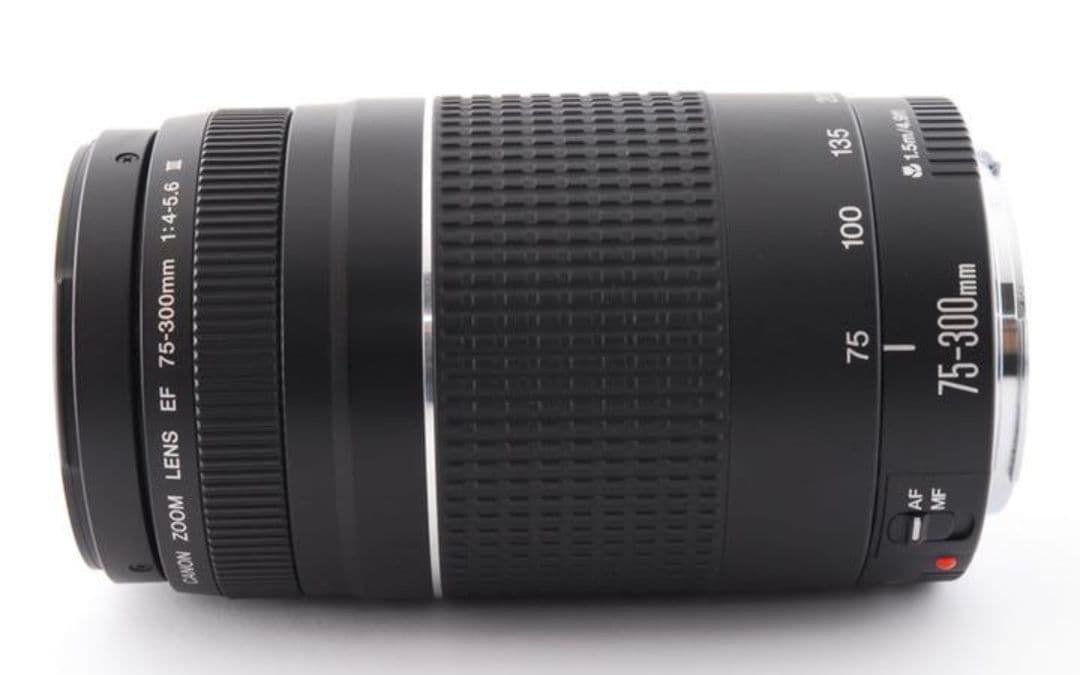 Canon Zoom Lenses 8 17 Ef 75-300Mm