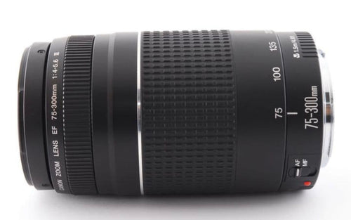 Canon Zoom Lenses 8 17 Ef 75-300Mm