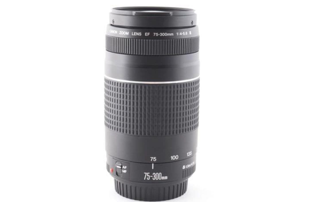 Canon Zoom Lenses 8 17 Ef 75-300Mm