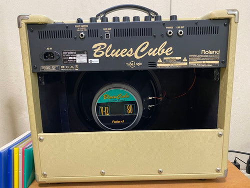 Roland Guitar Amplifiers Blues Cube Stage