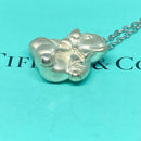 Tiffany Necklaces Sv925