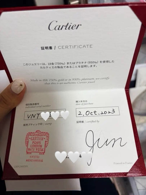 Cartier Earrings (Single)