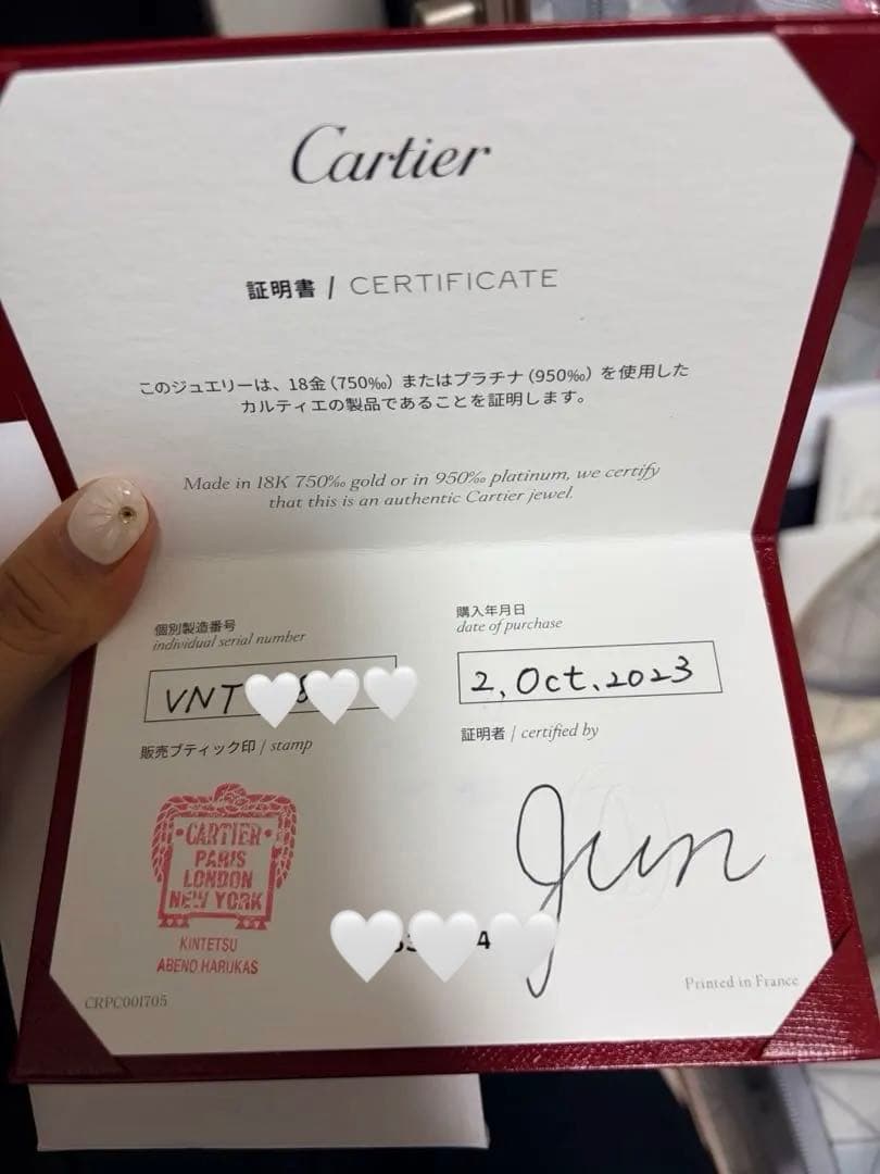 Cartier Earrings (Single)