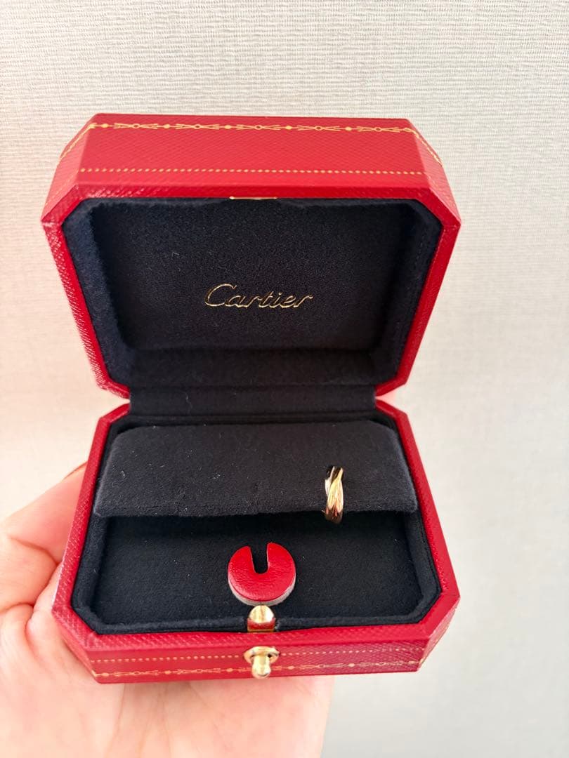 Cartier Earrings (Single)