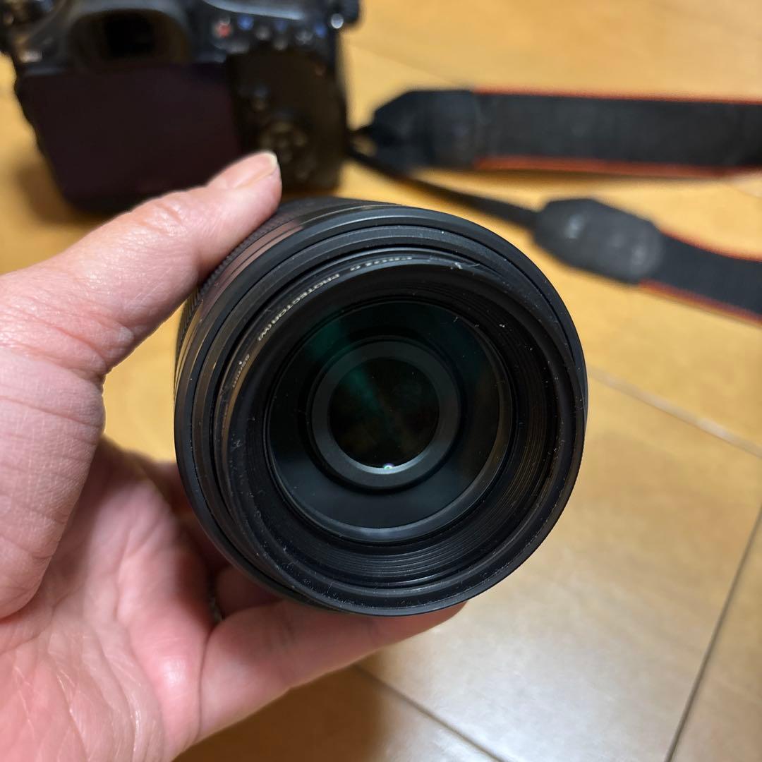 Sony Digital Slr 65