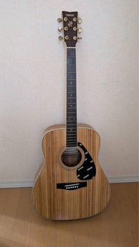 Yamaha Acoustic Guitars Fg-B1N