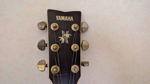 Yamaha Acoustic Guitars Fg-B1N