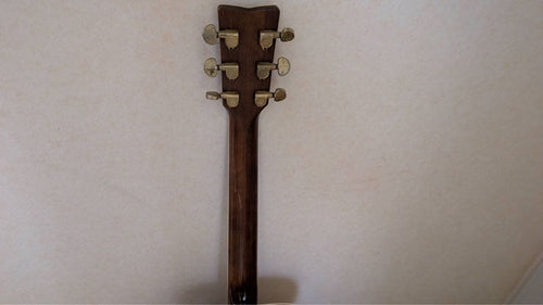 Yamaha Acoustic Guitars Fg-B1N