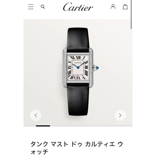Cartier Other