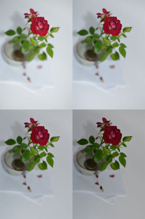 Sigma Prime Lenses F1.4 Dc Hsm Art