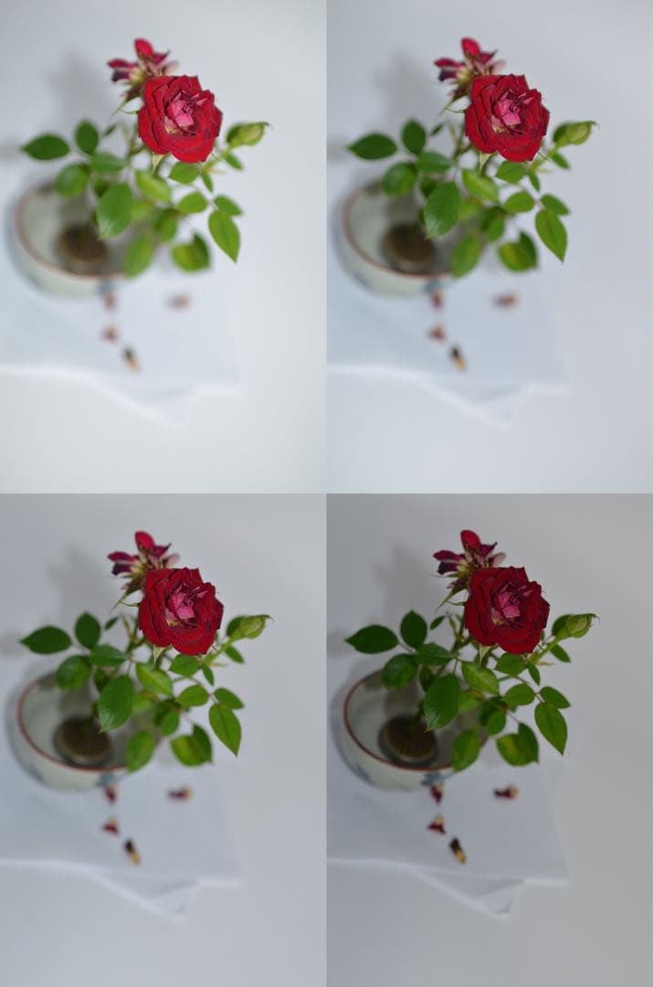 Sigma Prime Lenses F1.4 Dc Hsm Art