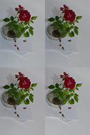 Sigma Prime Lenses F1.4 Dc Hsm Art