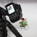 Sigma Prime Lenses F1.4 Dc Hsm Art