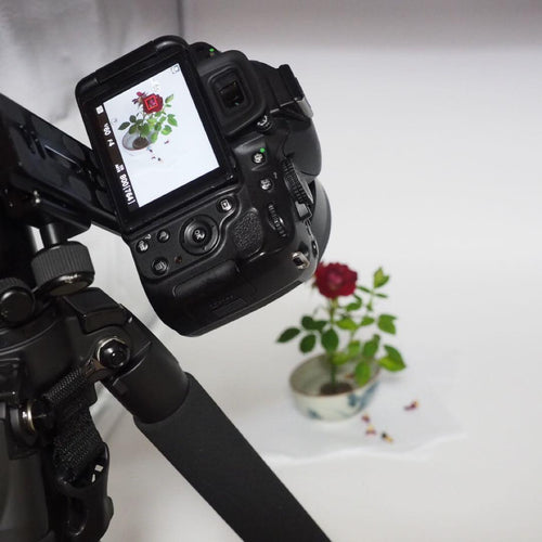 Sigma Prime Lenses F1.4 Dc Hsm Art