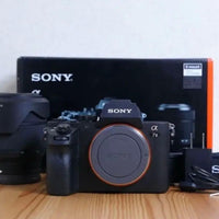 Sony Mirrorless Interchangeable Lens Cameras 203 7 Ii