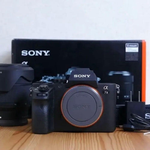 Sony Mirrorless Interchangeable Lens Cameras 203 7 Ii