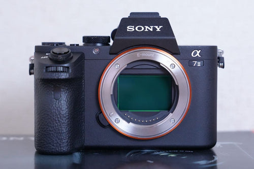 Sony Mirrorless Interchangeable Lens Cameras 203 7 Ii