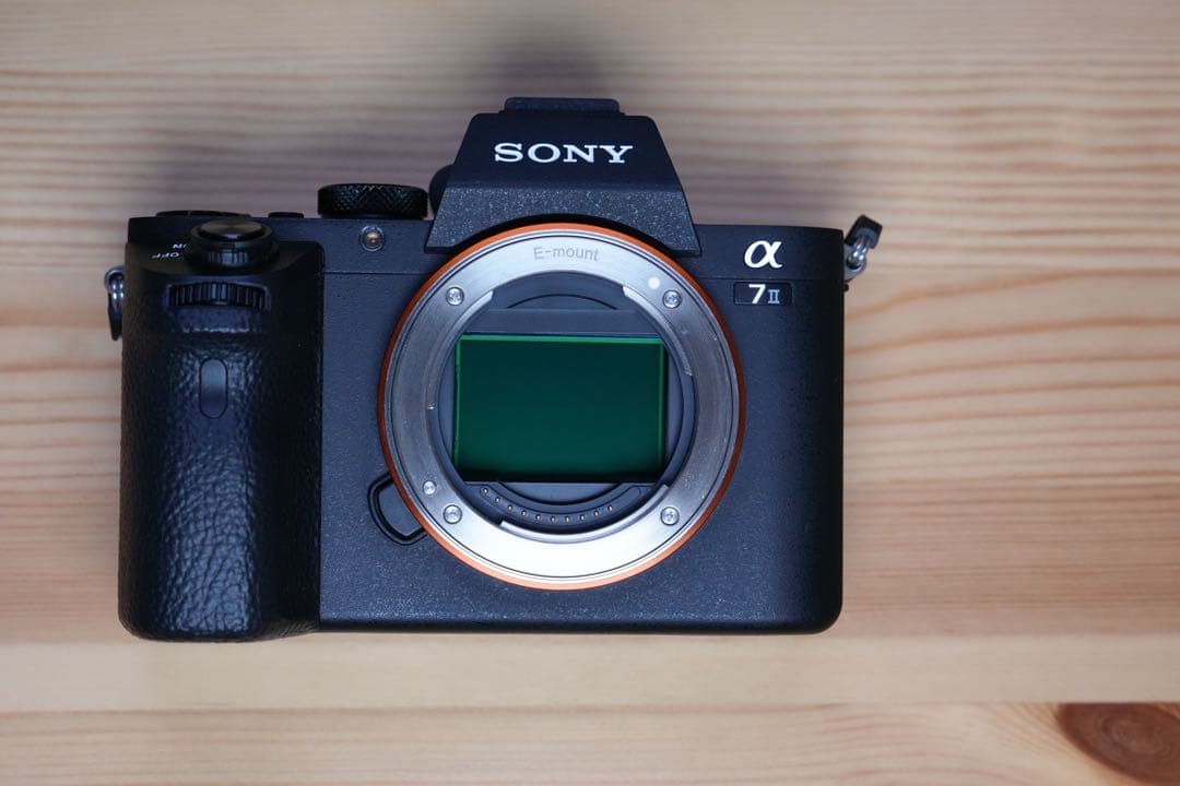 Sony Mirrorless Interchangeable Lens Cameras 203 7 Ii