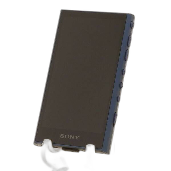 Sony Digital Audio Player Walkman A300 32Gb+Microsd Nw-A306(L) 352