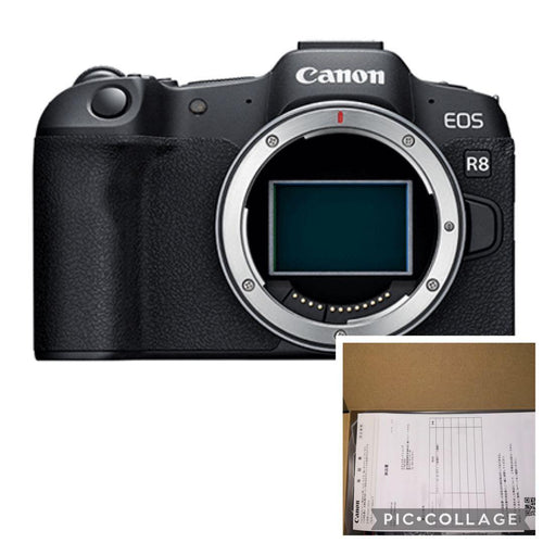 Canon Mirrorless Interchangeable Lens Cameras Eos R8