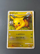 Pokemon Card Game L1 032/070