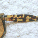 Miu Sunglasses