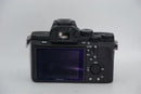 Mirrorless Interchangeable Lips Sony 7Ii