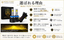 Lights H8 H11 H16 Led 20580Lm