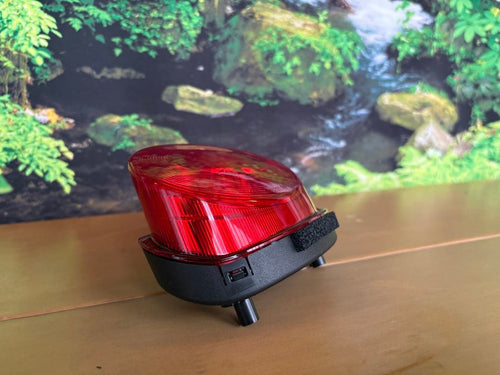 Kawasaki Lights Turn Signals Z900Rs Se 2023