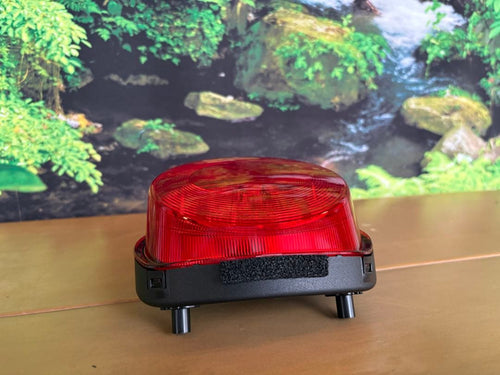 Kawasaki Lights Turn Signals Z900Rs Se 2023