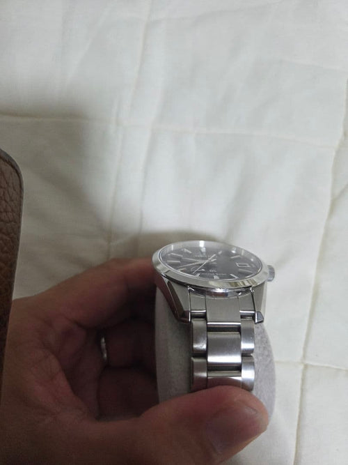 Grand Seiko Automatic Watches Sbga101