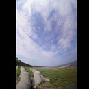 Lens (Single Focus) Sony